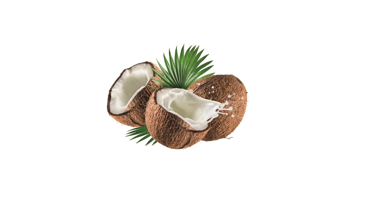 198056 Cocos SGO 4,0 kg
198056 Cocos SGO 4,0 kg