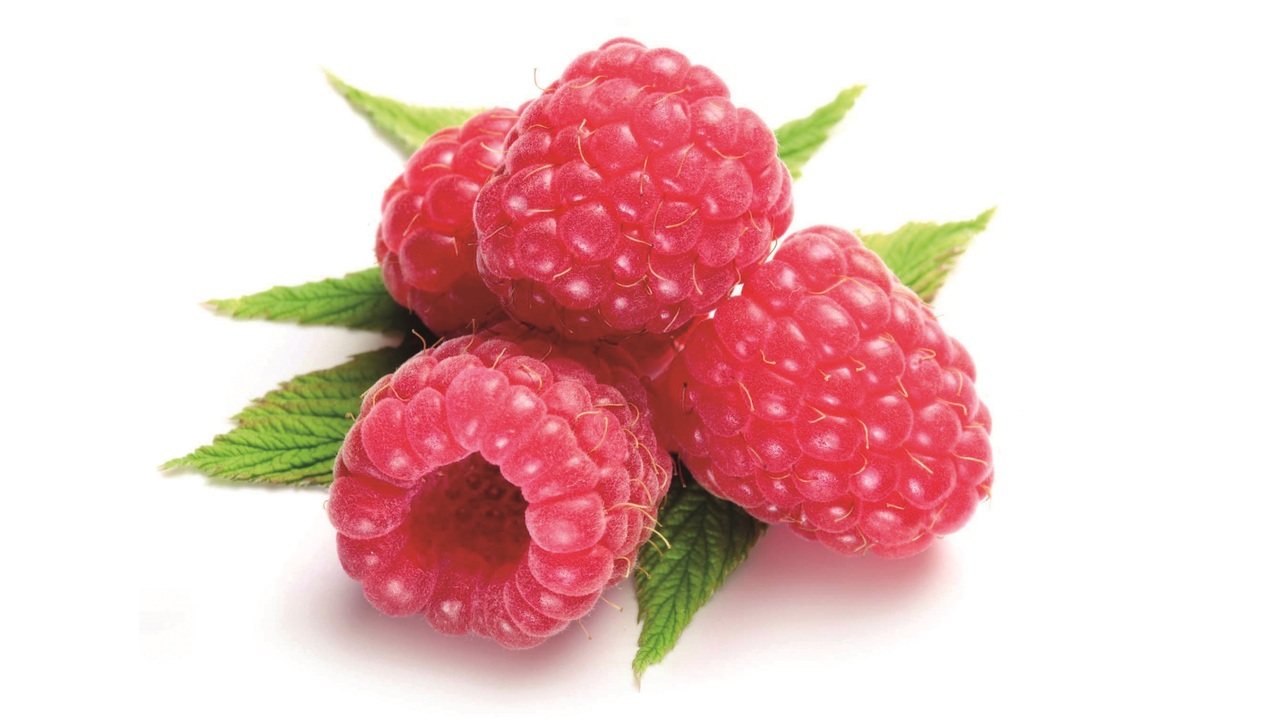 198212 Framboise light SGO 11 kg