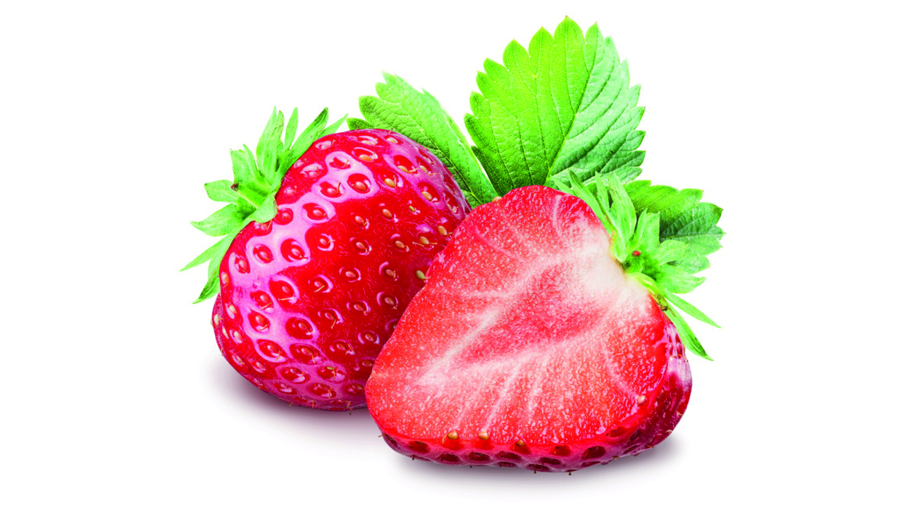 199026 Erdbeer stichfest SGO 14 kg
199026 Fraise ferme SGO 14 kg