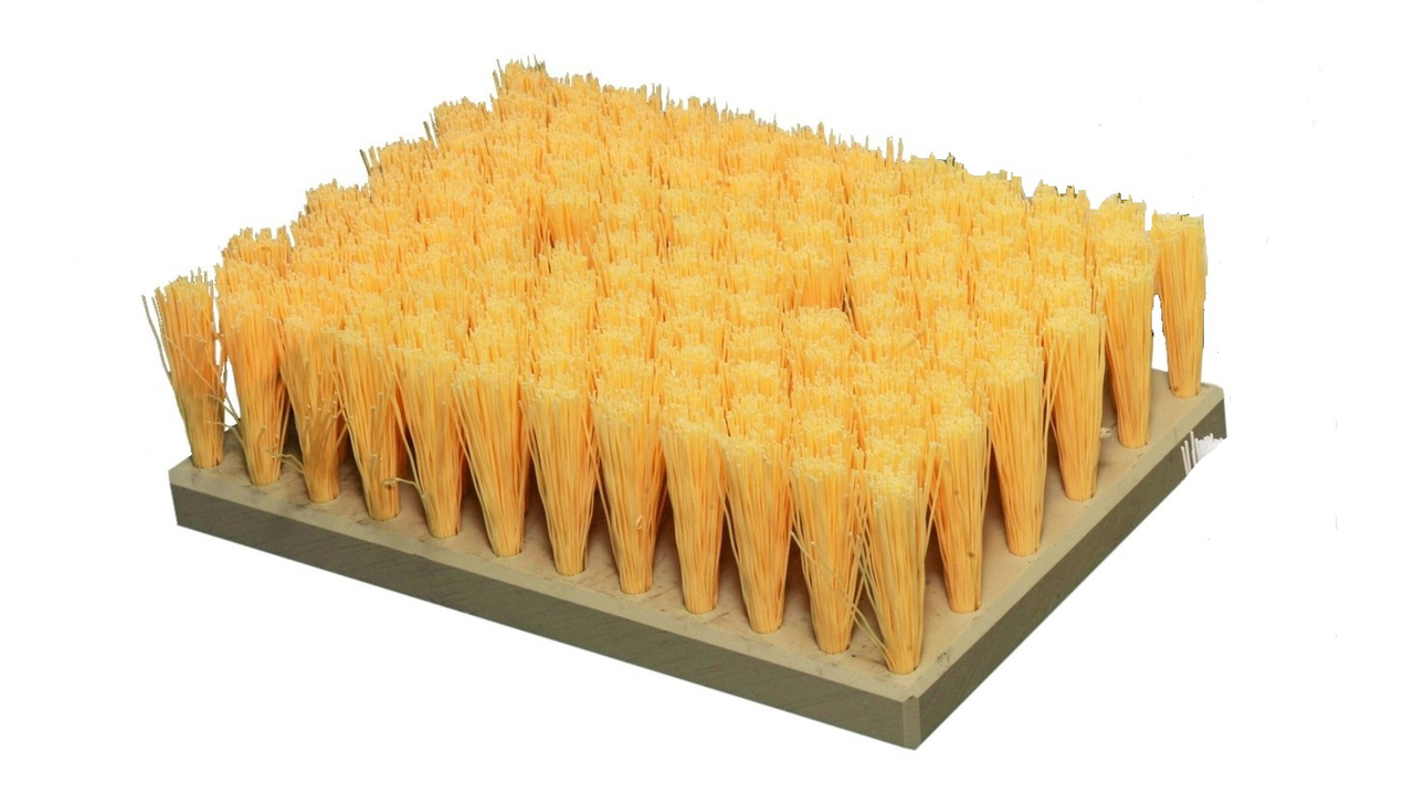 359014 Brosse dures Sugnaux 
