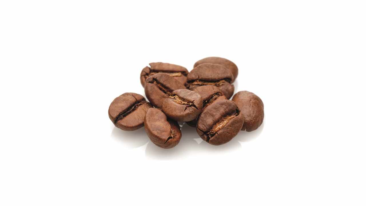 199028 Mocca normal SGO 14 kg