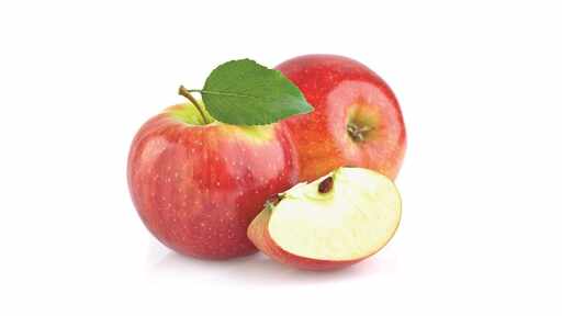 198104 Apfel SGO 14 kg
